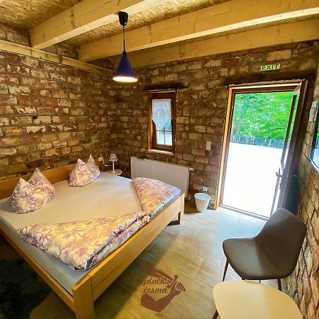 Holiday Park Hajducka Cesma Dubovsko 외부 사진
