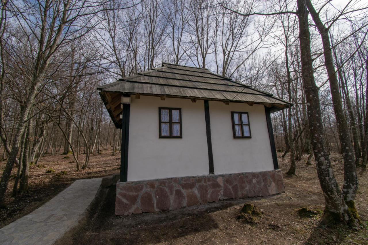 Holiday Park Hajducka Cesma Dubovsko 외부 사진