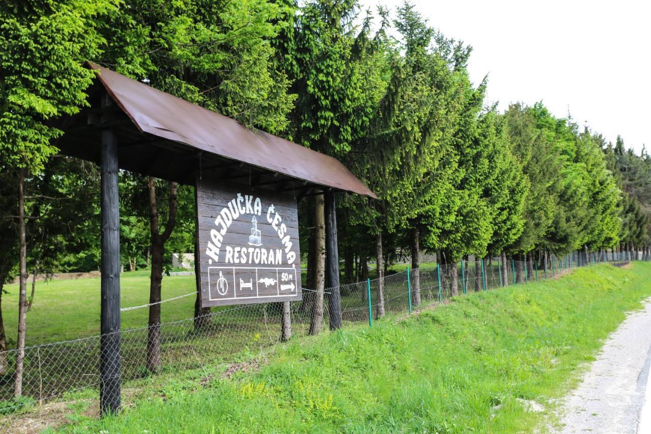 Holiday Park Hajducka Cesma Dubovsko 외부 사진